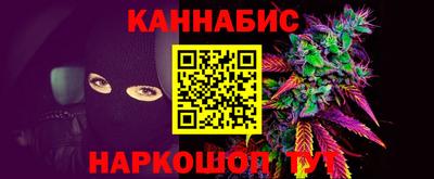 прущие грибы Бердск